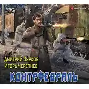 Постер книги Контрфевраль