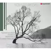 Постер книги Семилетняя ночь