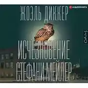 Постер книги Исчезновение Стефани Мейлер