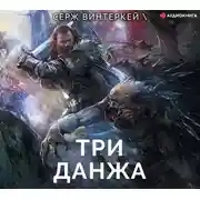 Постер книги Три данжа