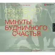 Постер книги Минуты будничного счастья