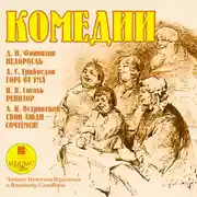 Постер книги Комедии. Фонвизин Д.И., Грибоедов А.С. , Гоголь Н.В., Островский А.Н.