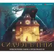 Постер книги Силуэт в тени