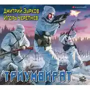 Постер книги Триумвират