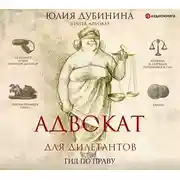 Постер книги Адвокат для дилетантов: гид по праву