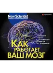 Коллектив авторов - Как работает ваш мозг