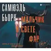 Постер книги Мальчик в свете фар