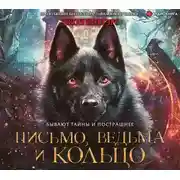 Постер книги Письмо, ведьма и кольцо