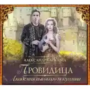 Постер книги Провидица