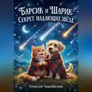 Постер книги Барсик и Шарик: Секрет падающих звёзд