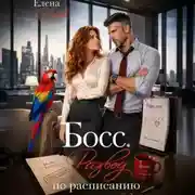 Постер книги Босс. Развод по расписанию