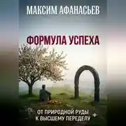 Постер книги ФОРМУЛА УСПЕХА: ОТ ПРИРОДНОЙ РУДЫ К ВЫСШЕМУ ПЕРЕДЕЛУ