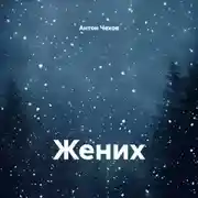Постер книги Жених