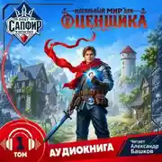 Постер книги Идеальный мир для оценщика