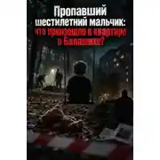 Постер книги Пропавший мальчик в Балашихе