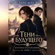 Постер книги Детективное агентство "Фэйлин". Тени будущего