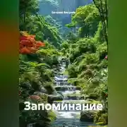 Постер книги Запоминание информации