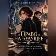 Постер книги Детективное агентство Фэйлин. Право на будущее