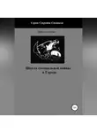 Денис Соловьев - Школа специальной войны в Городе