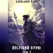 Постер книги Несущий бурю. Том V