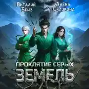 Постер книги Проклятие Серых земель