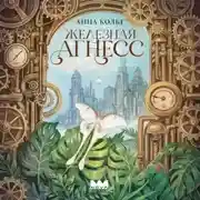 Постер книги Железная Агнесс