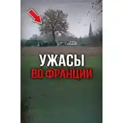 Постер книги Идеальное преступление