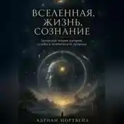 Постер книги Вселенная, жизнь, сознание. Авторская теория материи, судьбы и человеческой природы