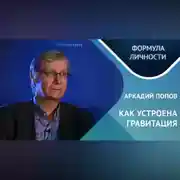 Постер книги Как устроена гравитация? Где кротовые норы?
