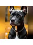 Мария Гербер - Миларда