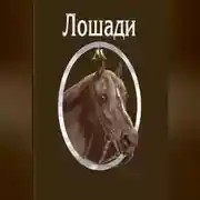 Постер книги Лошади