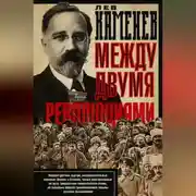 Постер книги Между двумя революциями