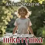 Постер книги Никитушка