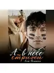 Алла Полански - А в небе стрижи