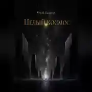 Постер книги Целый космос