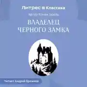 Постер книги Владелец Черного замка