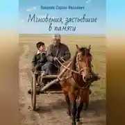 Постер книги Мгновения, застывшие в памяти