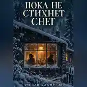 Постер книги Пока не стихнет снег