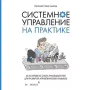 Постер книги Системное управление на практике. 50 историй из опыта руководителей для развития управленческих навыков