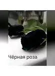 Виктория Андреанова - Чёрная роза
