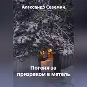 Постер книги Погоня за призраком в метель