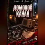 Постер книги Домовой канал