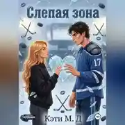 Постер книги Слепая Зона