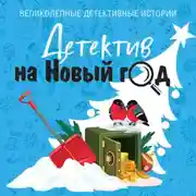 Постер книги Детектив на Новый год