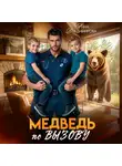 Анна Владимирова - Медведь по вызову