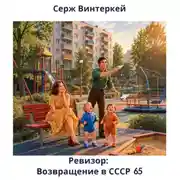 Постер книги Ревизор: возвращение в СССР 65