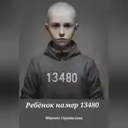 Постер книги Ребёнок номер 13480