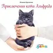 Постер книги Приключения кота Альфреда