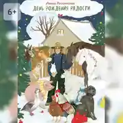 Постер книги День рождения Радости. Сказочная повесть