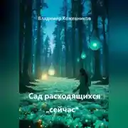Постер книги Сад расходящихся "сейчас"